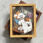 微信图片 20241107231554 150x150