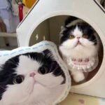 微信图片_20241107232455